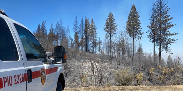 A CAL FIRE car on the site of the Nevada County, California, Rices fire