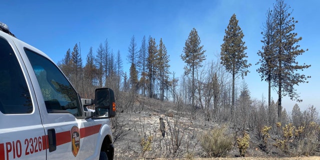 A CAL FIRE car on the site of the Nevada County, California, Rices fire