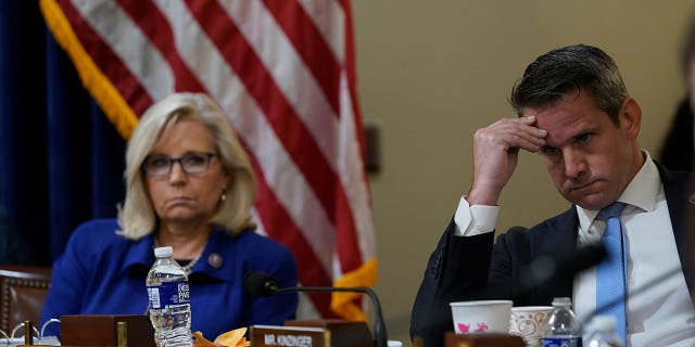 The Jan. 6 committee, which includes Republicans Liz Cheney and Adam Kinzinger, will hold their Thursday hearing during primetime. Andrew Harnik/Pool via REUTERS