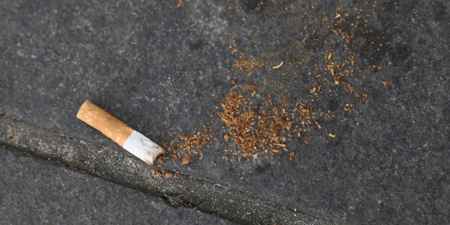A cigarette butt lies on a street in New York, U.S., May 10, 2017.
