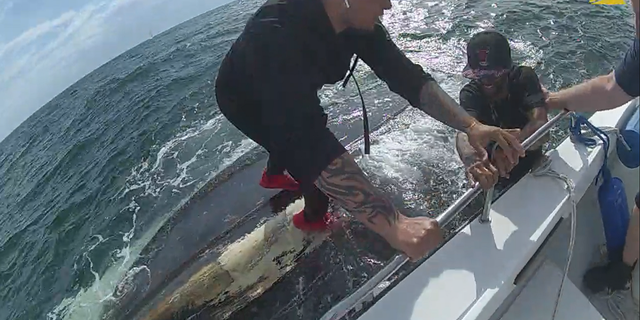 The stranded boaters are being seen pulled to safety in the Long Island Sound between Connecticut and New York.