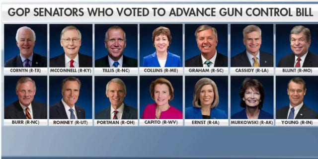 Republicans supporting the bipartisan gun control bill.