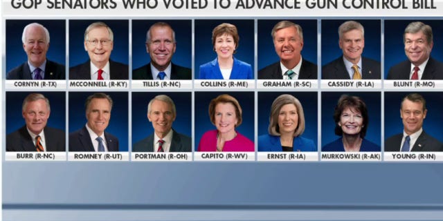 Republicans supporting the bipartisan gun control bill.