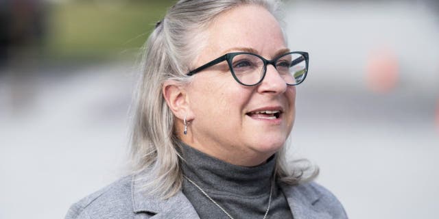 Rep. Susan Wild, D-Pa., stands outside of the Capitol on Thursday, Nov. 4, 2021.