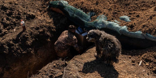 Ukrainian soldiers carry supplies into the trenches on the front lines between Mykolaiv and Kherson in Ukraine, Tuesday, March 22, 2022. 