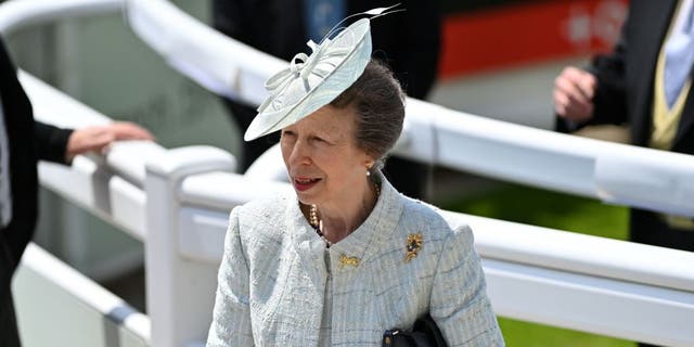 Princess Anne attends the second day of the Epsom Derby horse racing event at Epsom Downs Racecourse.