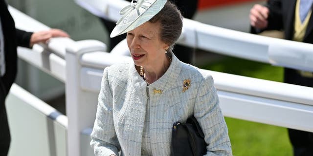 Princess Anne, Princess Royal, has opted to keep her life private.