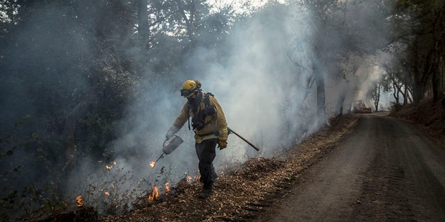 FILE - A firefighter with North Sonoma County ignites piled up leaves and brush during a prescribed burn on Mountain View Ranch Road in Healdsburg, Calif., on Wednesday, Nov. 11, 2020. 