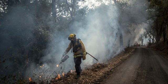 FILE - A firefighter with North Sonoma County ignites piled up leaves and brush during a prescribed burn on Mountain View Ranch Road in Healdsburg, Calif., on Wednesday, Nov. 11, 2020.