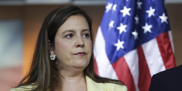 House Republican Conference Chair Elise Stefanik, R-N.Y., alleged a cover-up at the DOD for its delayed review of Kelisa Wing.