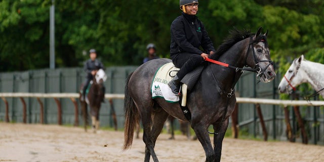 Barber Road walks off the track after a morning workout prior to the 154th running of the Belmont Stakes at Belmont Park on June 9, 2022, in Elmont, New York. 