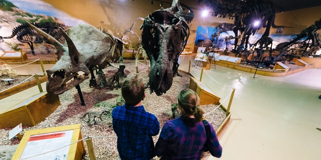 Young visitors stare into a Tyrannosaurus Rex at the Wyoming DInosaur Center in Thermopolis, Wyoming. (Steve Johnson for The Washington Post via Getty Images)