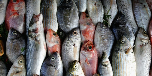 Fish are seen for sale in a harbourside restaurant next to Essaouira Harbour on August 1, 2007 in Essaouira, Morroco. (Photo by Chris Jackson/Getty Images)