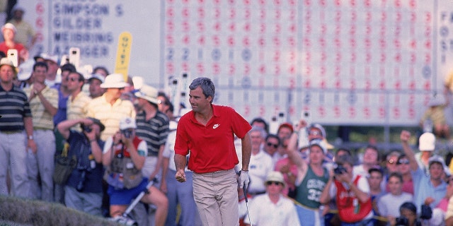 Curtis Strange is victorious after a shot during the U.S. Open at The Country Club in Brookline, Mass., June 19, 1988.