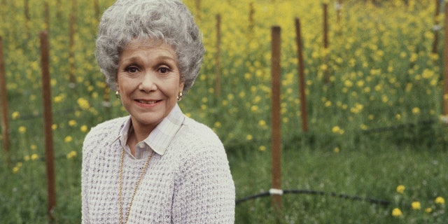 American actress and former wife of Ronald Reagan Jane Wyman poses in a publicity photo for the CBS primetime soap opera "Falcon Crest."