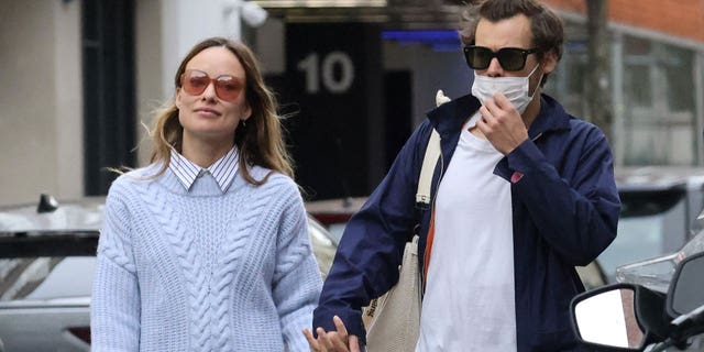 Harry Styles and Olivia Wilde reportedly broke-up after nearly two years of dating.