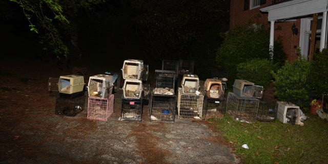 30 dead animals were found inside the home of a South Carolina animal rescue CEO.