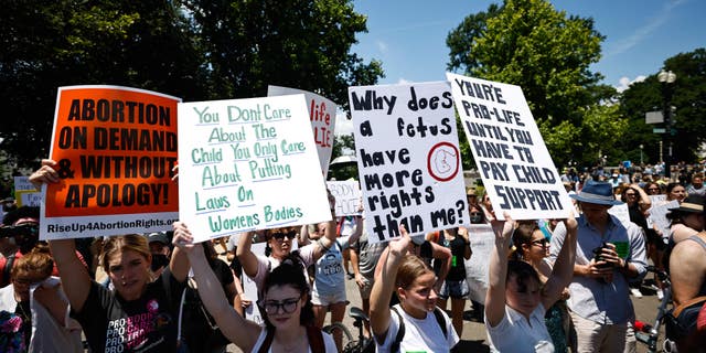 Protesters gather in front of the Supreme Court building in Washington, D.C., following the ruling to overturn Roe vs. Wade.