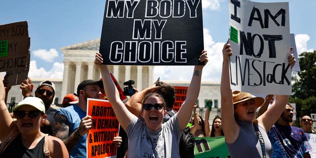 Protesters gather in front of the Supreme Court building in Washington D.C. following the ruling to overturn Roe vs. Wade.