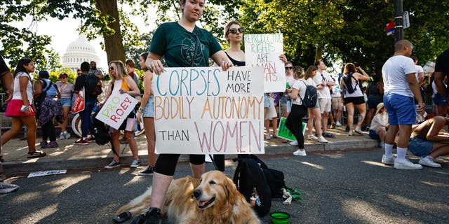 The Supreme Court overturned the decision in Roe v. Wade this year in the case Dobbs v. Jackson Women's Health Organization. 