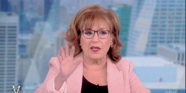 "The View" co-host Joy Behar declared that Florida Gov. Ron DeSantis "did nothing" when neo-Nazi protestors were outside a Turning Point USA event the governor spoke at.