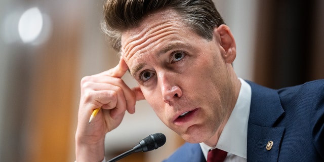 Senator Josh Hawley, R-Mo., told Fox News Digital the Saturday shoot-down "was just another display of incompetence and weakness from Joe Biden."