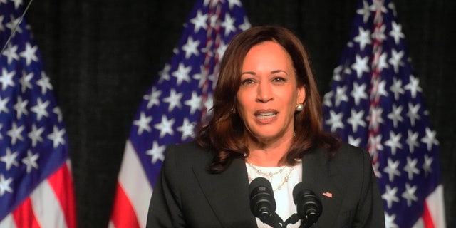 Vice President Kamala Harris speaks at a dinner for the South Carolina Democratic Party on Friday, June 10, 2022, in Columbia, S.C.(AP Photo/Meg Kinnard)