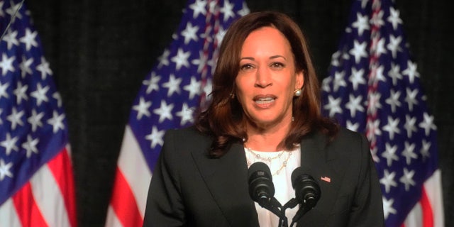 Vice President Kamala Harris speaks at a dinner for the South Carolina Democratic Party on Friday, June 10, 2022, in Columbia, SC It was Harris' first visit to a state party since taking office.  (AP Photo/Meg Kinnard)