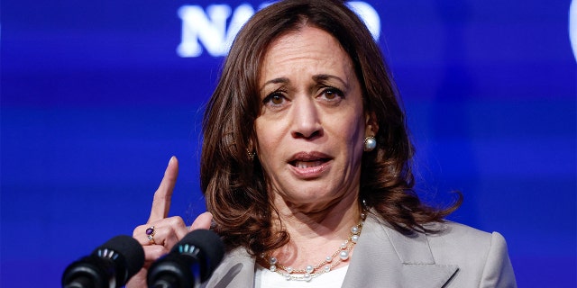 Vice President Kamala Harris speaks at National Association of Latino Elected and Appointed Officials (NALEO) at Swissotel in Chicago, on June 24, 2022.
