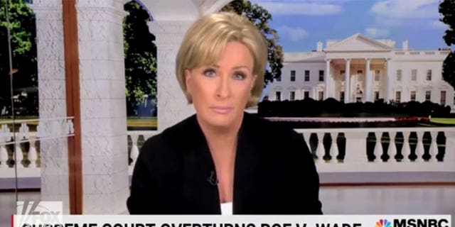 MSNBC's Mika Brezezinski encouraged viewers to mobilize and vote for Democrats in the fall.
