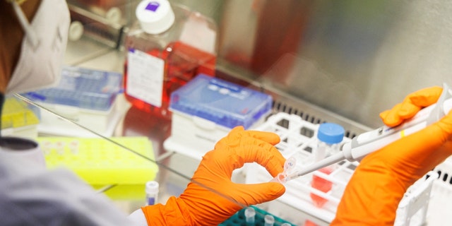  Un employé de la société de vaccins Bavarian Nordic travaille dans un laboratoire de la société à Martinsried près de Munich, en Allemagne, le 24 mai 2022. 