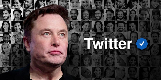 The billionaire has said he believes at least 20% of Twitter's users could be spam, fake accounts.