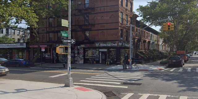 A New York City grandmother was struck and killed by a vehicle over the weekend that was trying to flee police, reports say.
