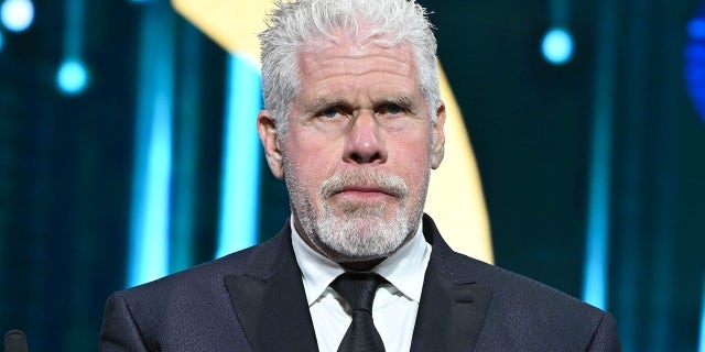 Actor Ron Perlman