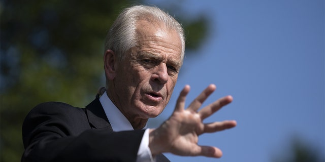 Peter Navarro, director of the National Trade Council, speaks to members of the media outside the White House in Washington, D.C., Aug. 28, 2020.