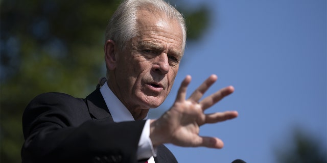 Peter Navarro, director of the National Trade Council, speaks to members of the media outside the White House in Washington, D.C., Aug. 28, 2020.