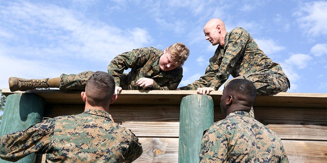 Sam also did the obstacle courses on Parris Island, with the help of the other "rekrute" who were with him.