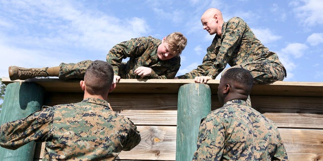 Sam also did the obstacle courses on Parris Island, with the help of the other "recruits" who were with him.