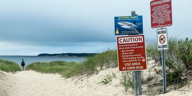 A shark warning and beach advisory in Wellfleet, Massachusetts on April 9, 2019.