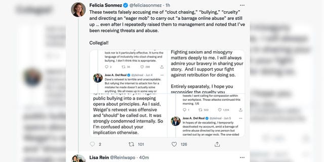 Washington Post reporter Lisa Rein urged Felicia Sonmez to "please stop" attacking colleagues.