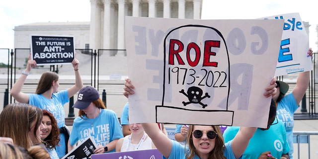 Demonstrators protest about abortion outside the Supreme Court in Washington, Friday, June 24, 2022. (AP Photo/Jacquelyn Martin)