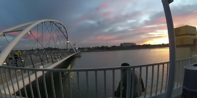 Sean Bickings is seen early Saturday near the  Elmore Pedestrian Bridge, before entering the water, in this bodycam footage released by police. 