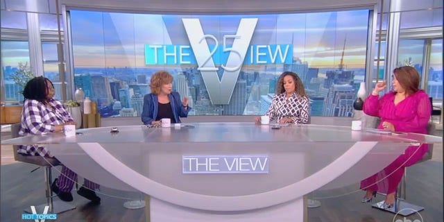 ABC's "The View" frequently attacked and disparaged Gov. Ron DeSantis, R-Fla., and his policies.