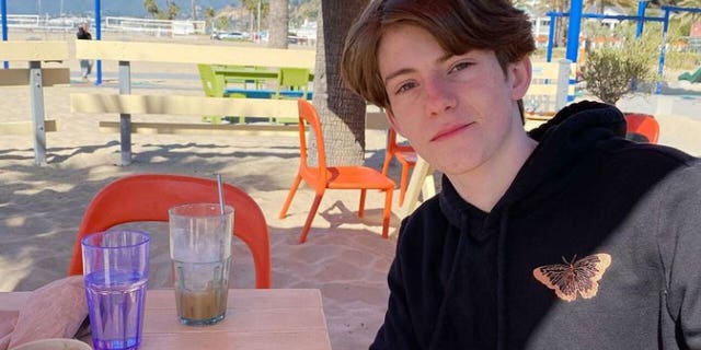 Tyler Sanders' parents say he was a loving teen who worked hard but had "persistent depression."