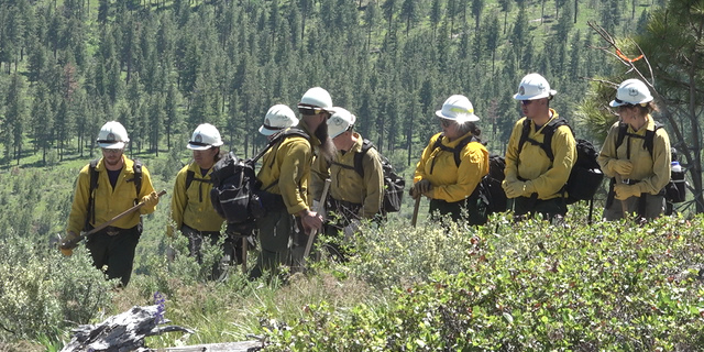 Wildland firefighter trainees taking part in field drills in the Okanogan-Wenatchee National Forest in Washington state.