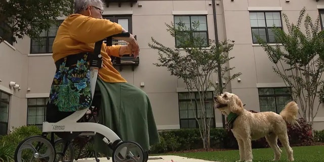 Marilyn Blackmer and her 6-year-old Labradoodle named Buddy in Orlando, Florida in June 2022.