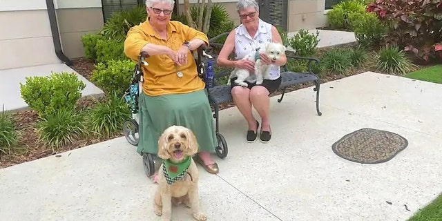 Marilyn Blackmer and her 6-year-old Labradoodle named Buddy alongside Alice Joossens and her 4-year-old Maltese Yorkie named Sammy in Orlando, Florida.