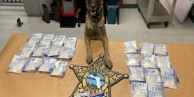 DCSO K9 named Liberty sniffed out additional drugs in Webster's car.