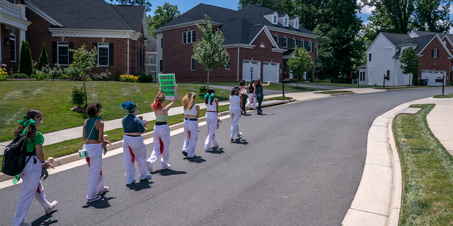 Pro-choice activists with Rise Up 4 Abortion Rights chant after marching to the home of Supreme Court Justice Amy Coney Barrett on June 18, 2022 in Falls Church, Virginia. According to the group, the dolls represent forced births. (Nathan Howard/Getty Images)