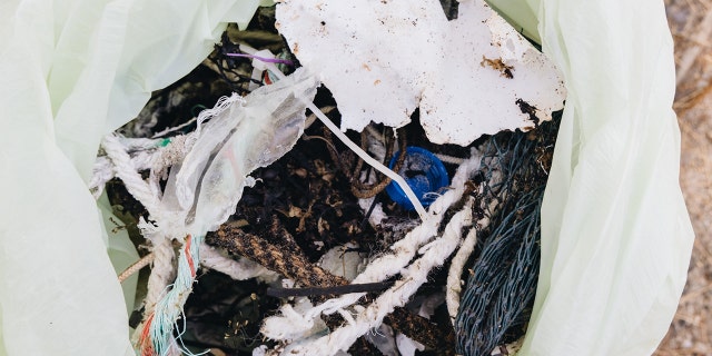 Surfer Anna Gudauskas and surf photographer Sarah Lee embark on beach clean-up journey along the East Coast.